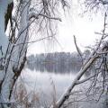 Winterblick aus Senzig (tn_100_4096.jpg) Zeesner See im Landkreis Dahme Spreewald